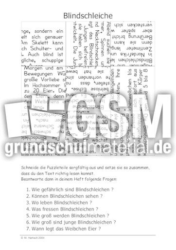 Blindschleiche.pdf